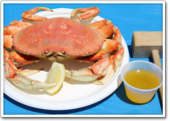 Live Local Dungeness Crab